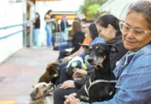 Guanandizão recebe consultório móvel com serviços gratuitos para cães e gatos a partir desta segunda
