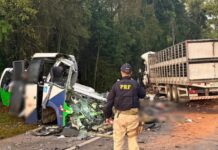Colisão entre micro-ônibus e carreta deixa 22 mortos e 5 feridos no Paraná