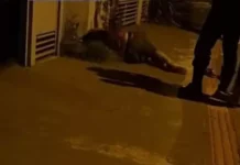 Homem é baleado várias vezes e fica em estado gravíssimo em Sidrolândia