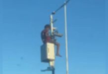 Homem sobe em radar e furta fios diante de motoristas em Campo Grande