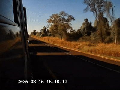 Carro invade pista contrária e provoca acidente que deixa 4 mortos na BR-163 em MS Carro invade pista contrária e provoca acidente que deixa 4 mortos na BR-163 em MS