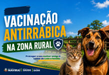 Naviraí inicia vacinação antirrábica na zona rural nesta segunda-feira e prepara o ‘Dia D’