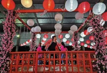 📰 Fim de semana na Capital tem gastronomia, cultura japonesa e muita música; veja a agenda!