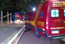 Sem vento nem tempestade: árvore cai e mata jovem de 23 anos que usava patinete na Avenida do Poeta