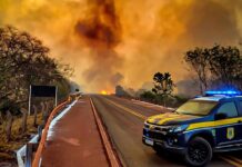 Bira pede atenção especial na BR–262 para minimizar riscos de incêndios florestais