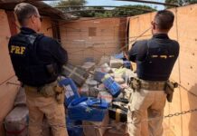 PRF apreende mais de 3 toneladas de maconha em carga de milho na BR-376