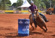 4ª Expoequestre MS terá provas, capacitação e atividades voltadas à cultura do cavalo