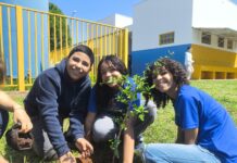 Plantio de árvores aproxima estudantes da natureza