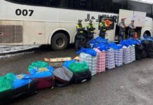 Polícia apreende quase 750 kg de folha de coca em ônibus que saiu de Corumbá