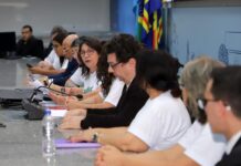 Em Audiência, profissionais da Educação Infantil buscam adequações à nova lei federal