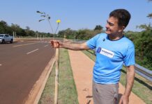 No Dia da Árvore, prefeito planta muda na Avenida dos Ipês, que também recebe espécies frutíferas
