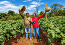 Da propriedade rural ao CECAF: casal transforma perseverança em produção