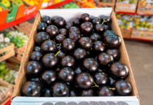 Época da jabuticaba já começou; conheça os benefícios e onde comprar na Capital
