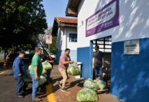 Edital convoca agricultores para fornecer hortifruti ao PAA