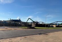 Expansão florestal amplia potencial econômico de Campo Grande