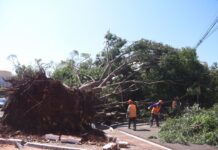 PrefCG avança em mobilidade, educação, regularização e atendimento pós-temporal