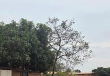 Homem é morto a tiros em Sidrolândia
