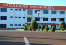Psicologia, Fisioterapia e Medicina Veterinária: veja como ter acesso aos atendimentos em Dourados