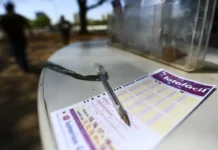 Lotofácil da Independência pode pagar R$ 300 milhões; saiba até quando apostar