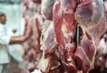 União Europeia começa embargo a carnes e produtos de origem animal do Brasil nesta quinta