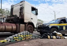 Após apreender quase 1 ton, PRF encontra mais 85 kg de drogas em carreta na BR-262