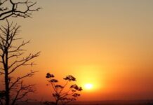 MS terá domingo de calor intenso, com temperaturas de até 43°C