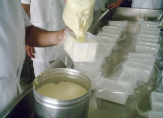 Category Template 1