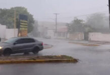 Corumbá registra forte temporal com queda de árvores e até parte da estrutura de prédio