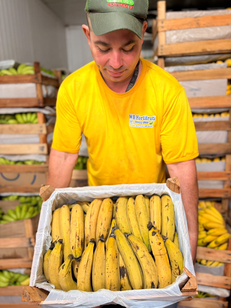 Dia Mundial da Banana: fruta tem peso no abastecimento de Mato Grosso do Sul Dia Mundial da Banana: fruta tem peso no abastecimento de Mato Grosso do Sul