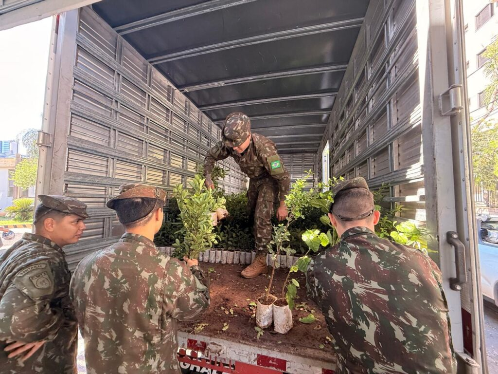 População chega cedo para garantir mudas frutíferas na Capital População chega cedo para garantir mudas frutíferas na Capital