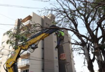 Trabalho preventivo contribui para que Dourados não registre quedas de árvores durante temporal