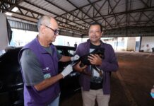 Prefeitura de Dourados leva vacinação antirrábica para cinco pontos da cidade nesta sexta-feira