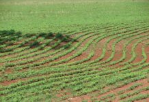 Produção Agrícola Municipal supera R$ 1 bi em 2025