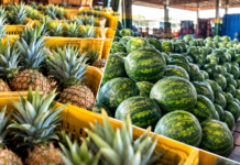 Frutas de outubro: sabor, variedade e nutrientes para aproveitar a primavera