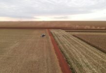 Crédito para custeio da safra cai 30,3% em Mato Grosso do Sul