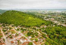 Corumbá apresenta Plano de Arborização Urbana em audiência pública no dia 07