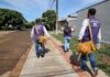 Com ações preventivas e campanhas, Dourados reduz os casos de Chikungunya