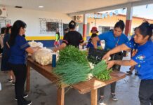 Dourados faz história com 1º PAA Indígena Municipal para 33 agricultores