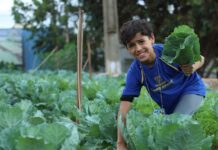 Estudantes da Reme aprendem sobre sustentabilidade na UTA