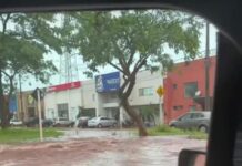Vídeo: 20 minutos de chuva forte causa alagamentos em Nova Andradina