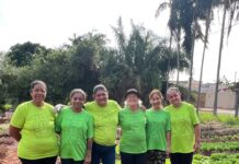 Horta comunitária transforma terreno em espaço de cultivo e solidariedade