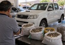 Com saco de moedas de R$ 1, borracheiro compra Hilux após economizar por oito anos