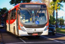 Transporte coletivo de Campo Grande será gratuito neste domingo de votação