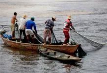 Seguro-Defeso começa a ser pago hoje a mais de 15 mil pescadores