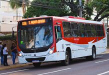 Ônibus em Campo Grande terão operação especial no feriado desta segunda-feira