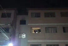 Incêndio atinge apartamento e três animais são resgatados pelos bombeiros