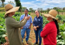 Agraer orienta agricultores de Jaraguari a produzir mais e vender direto ao consumidor