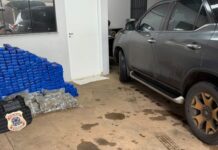 PF prende homem e apreende mais de 460 kg de drogas em Ponta Porã