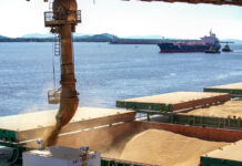 Agronegócio impulsiona exportações de MS, que crescem 12,5% até setembro