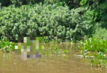 Pescador levado pela correnteza no Rio Paraguai é encontrado morto